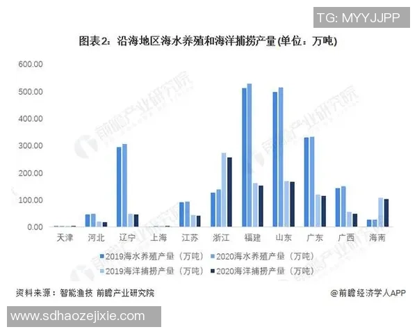 足球财富推手如何推动全球体育经济发展与投资机遇分析